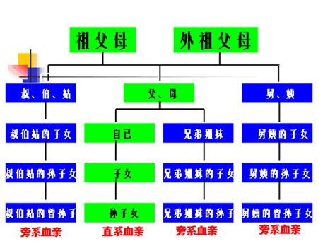 外孫算直系嗎|哪些人屬於直系血親？哪些人是旁系血親？如何計算親。